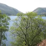 別荘 Thirlmere